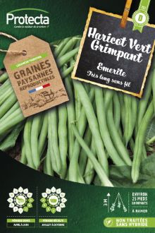 HARICOT GRIMPANT EMERITE sachet de 25 g