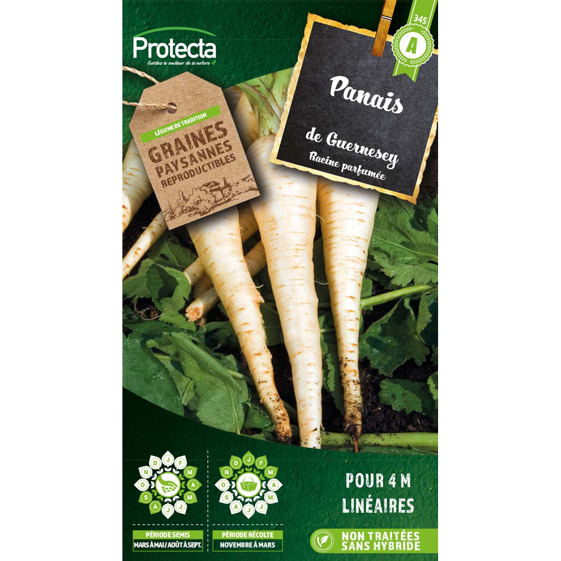 Panais demi-long de Guernesey  sachet 4 g