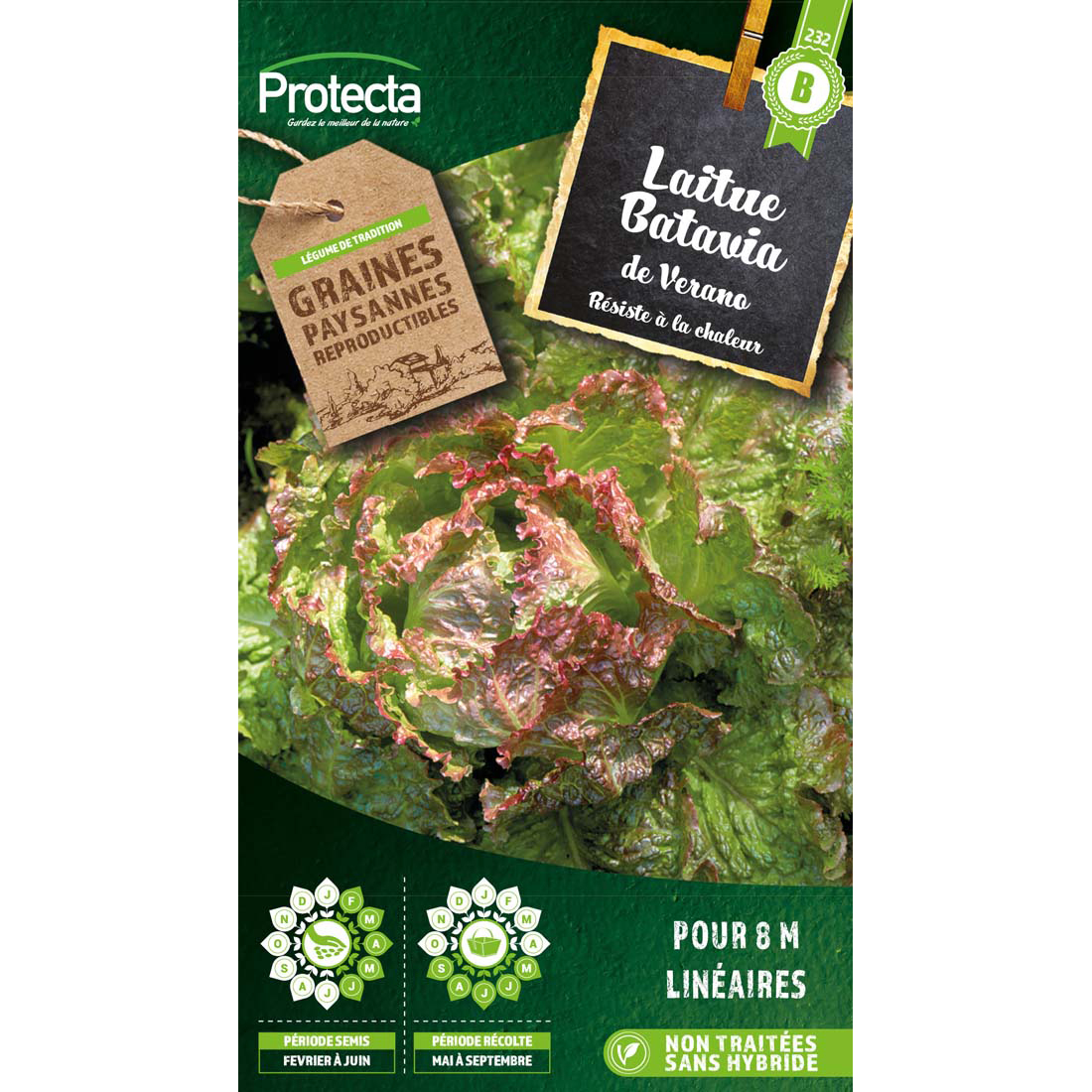 Laitue Batavia Merveille de Verano sachet 4g