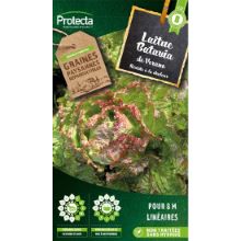 Laitue Batavia Merveille de Verano sachet 4g