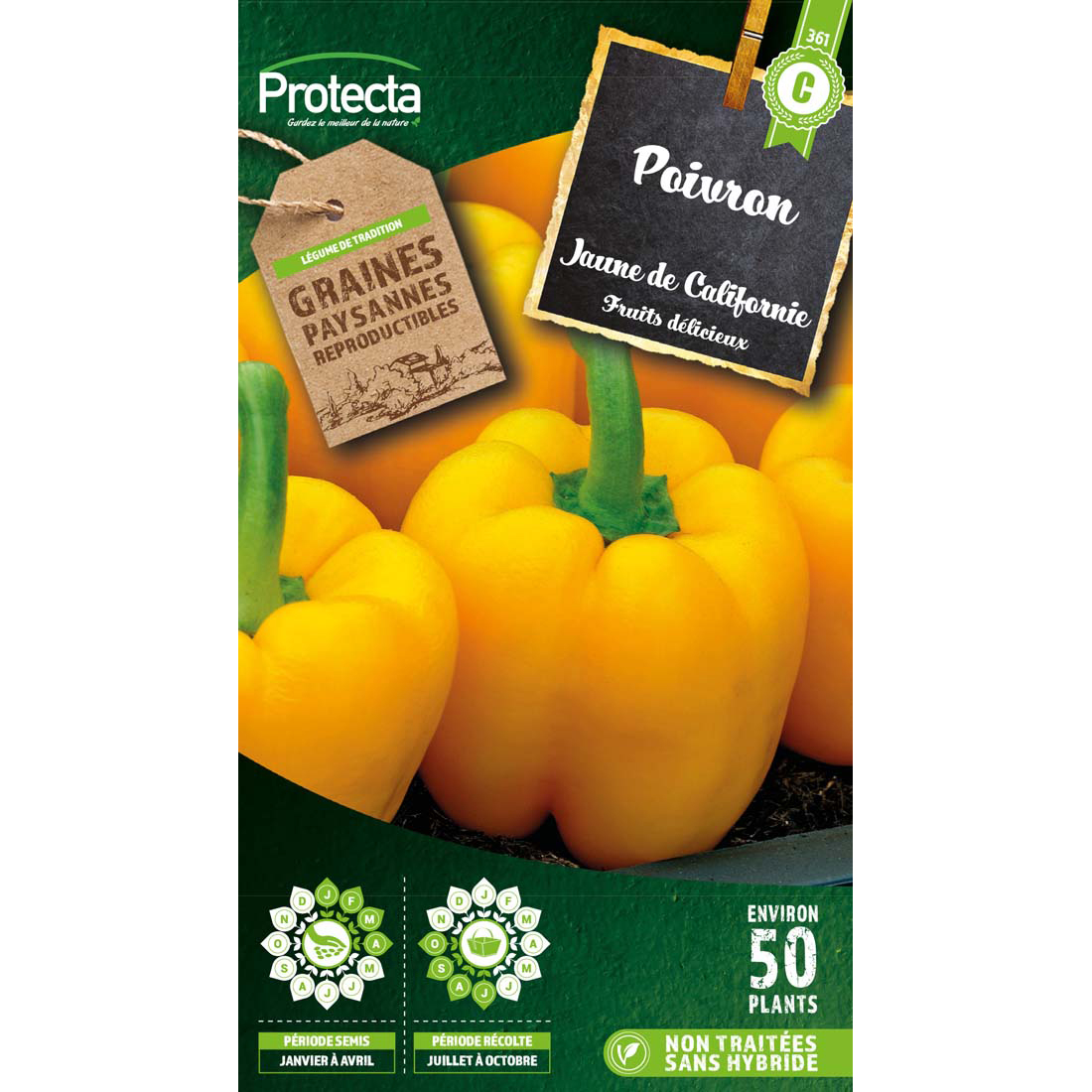 POIVRON jaune carré California Wonder Yellow sachet 1 g