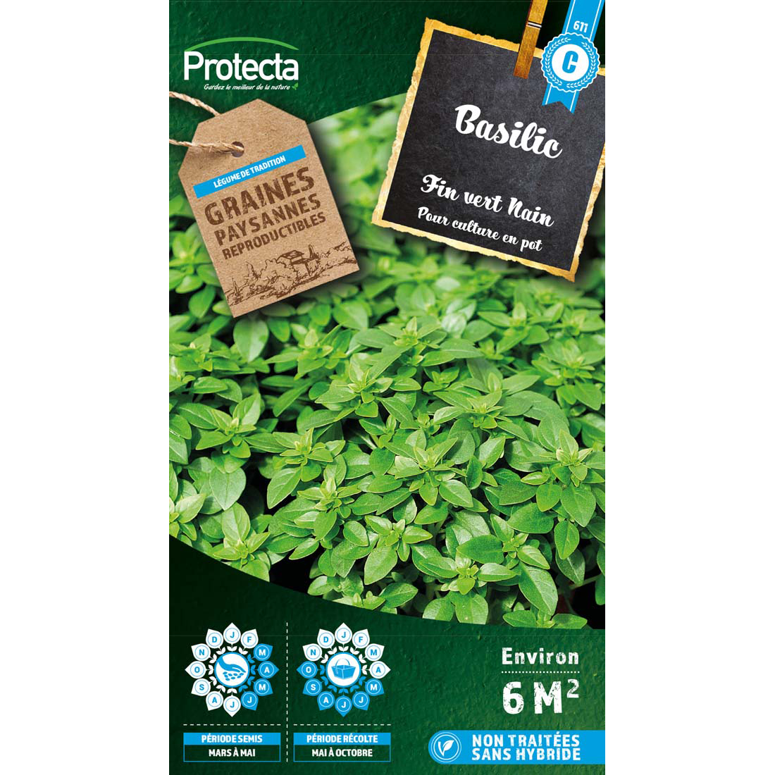 Basilic Fin vert nain compact LATINO sachet 2 g