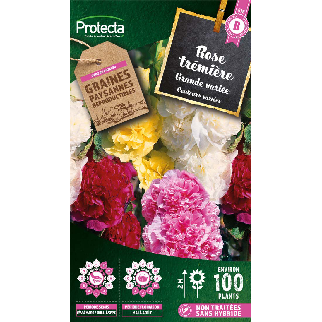 Rose Tremière double grande variée