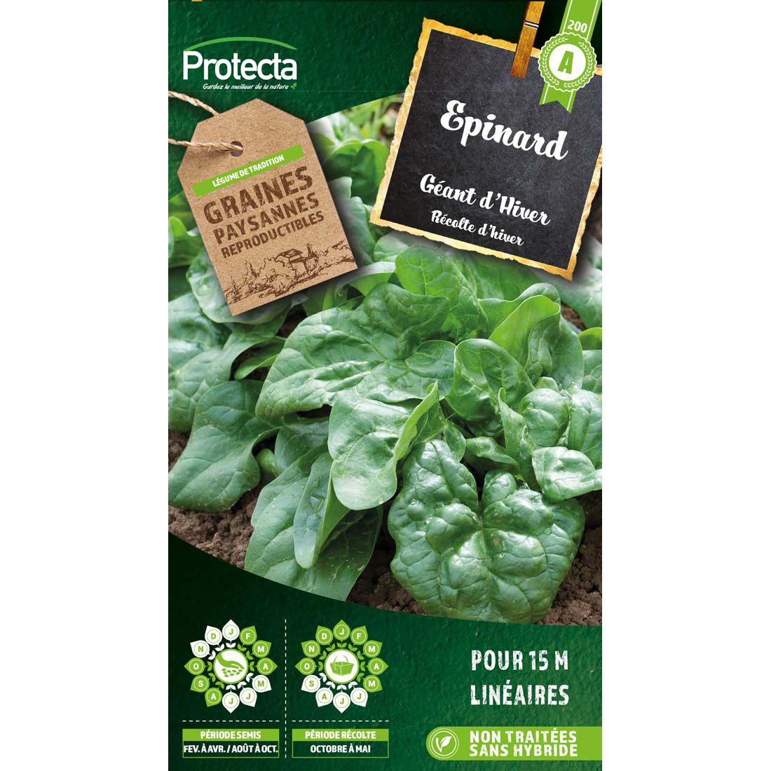 Epinard Géant d'hiver sachet 10g