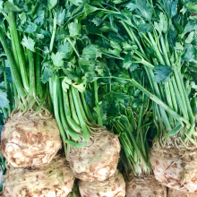 Céleri Rave Albatre Pqt 5 g