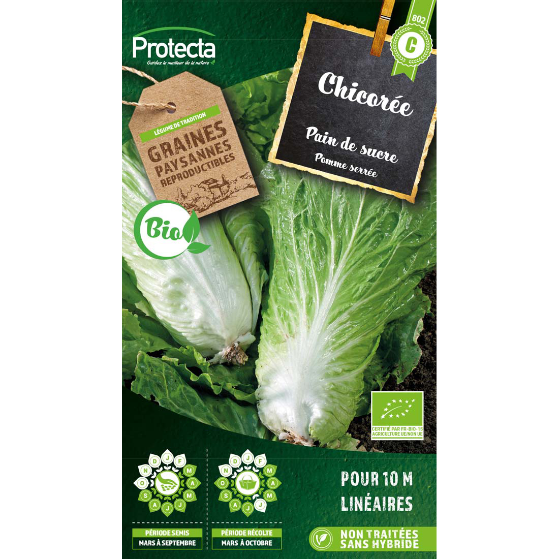 Chicorée sauvage améliorée Pain de Sucre BIO sachet 4 g