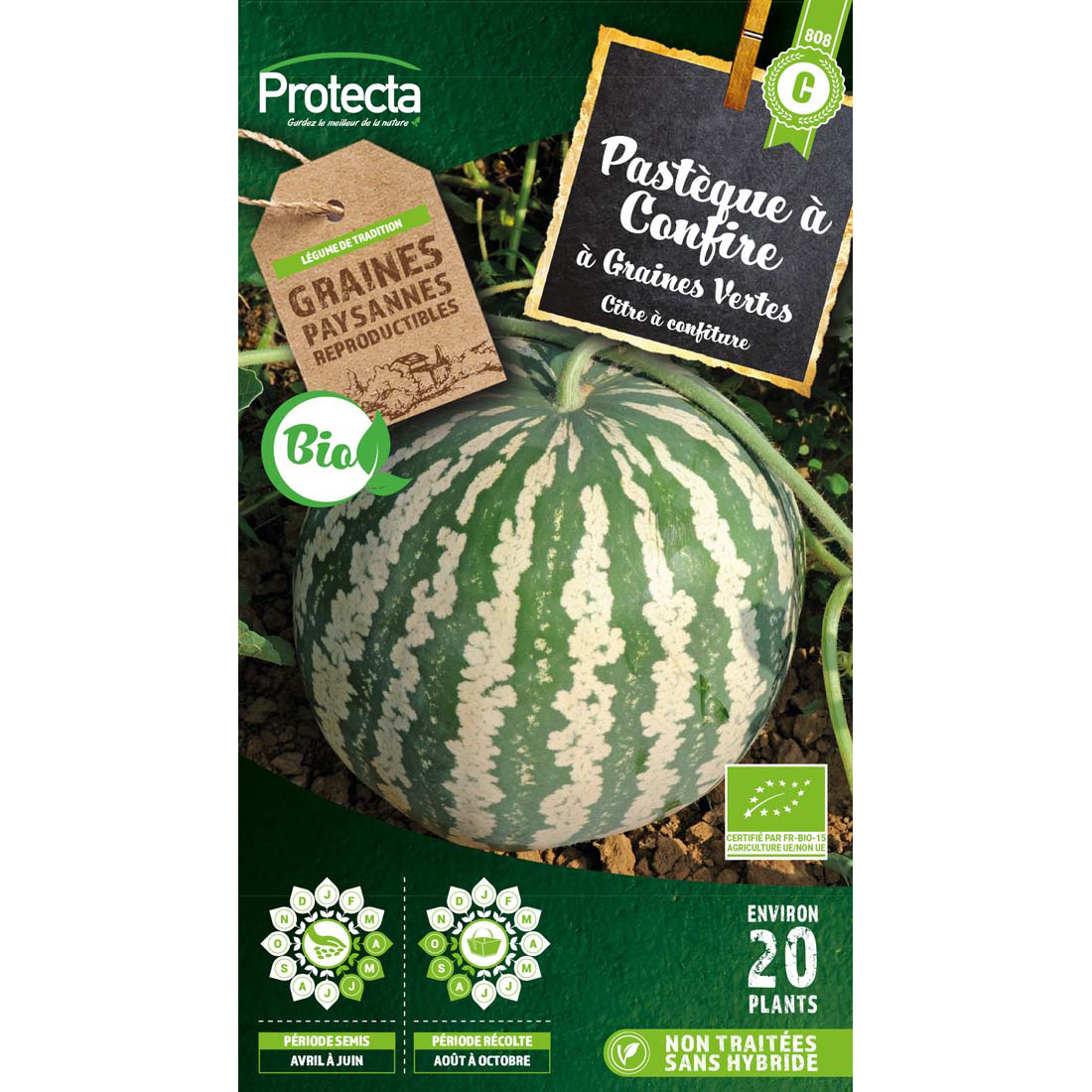 PASTÈQUE À CONFIRE ALLONGÉE À GRAINE VERTE BIO