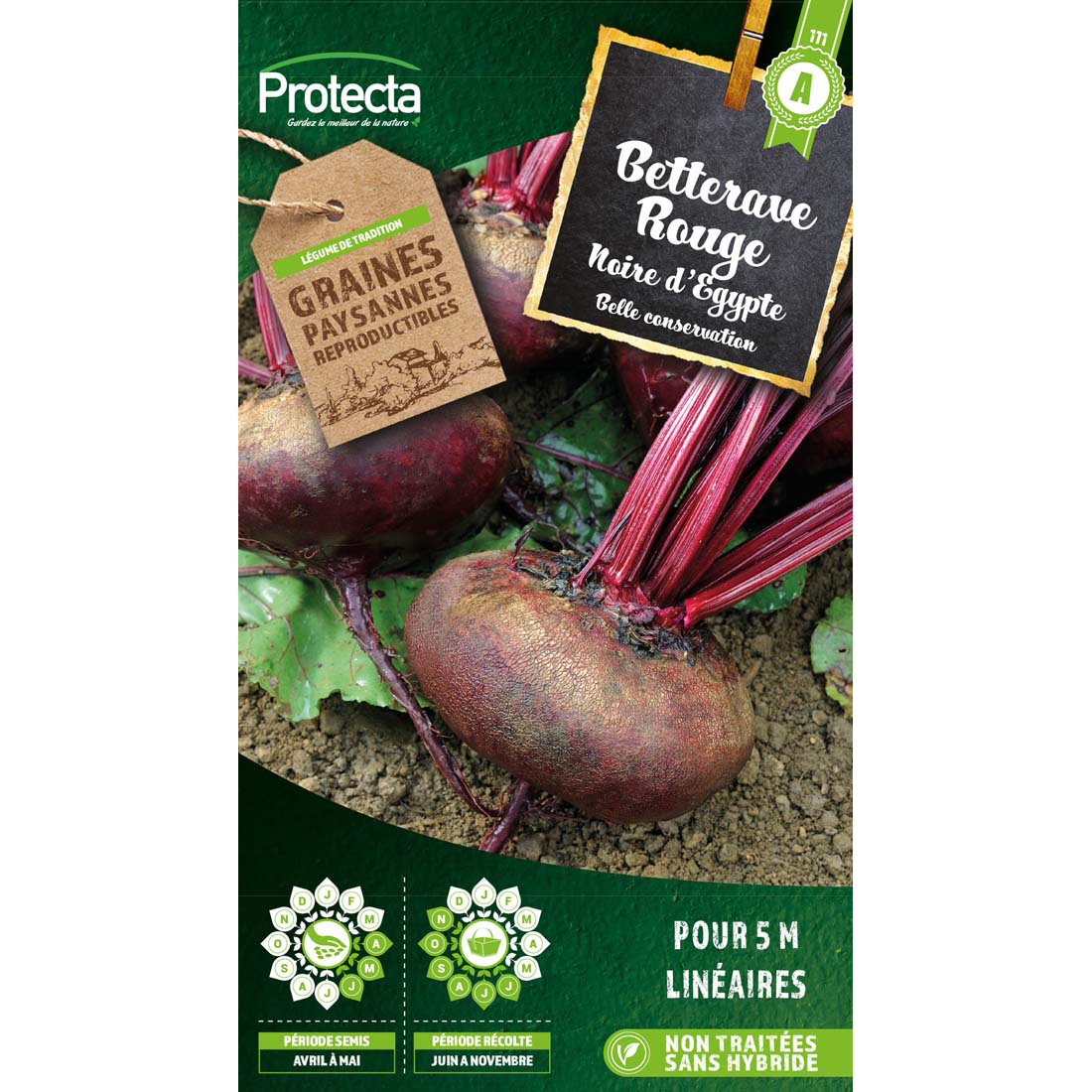 Betterave potagère noire d'Egypte sachet 4 g