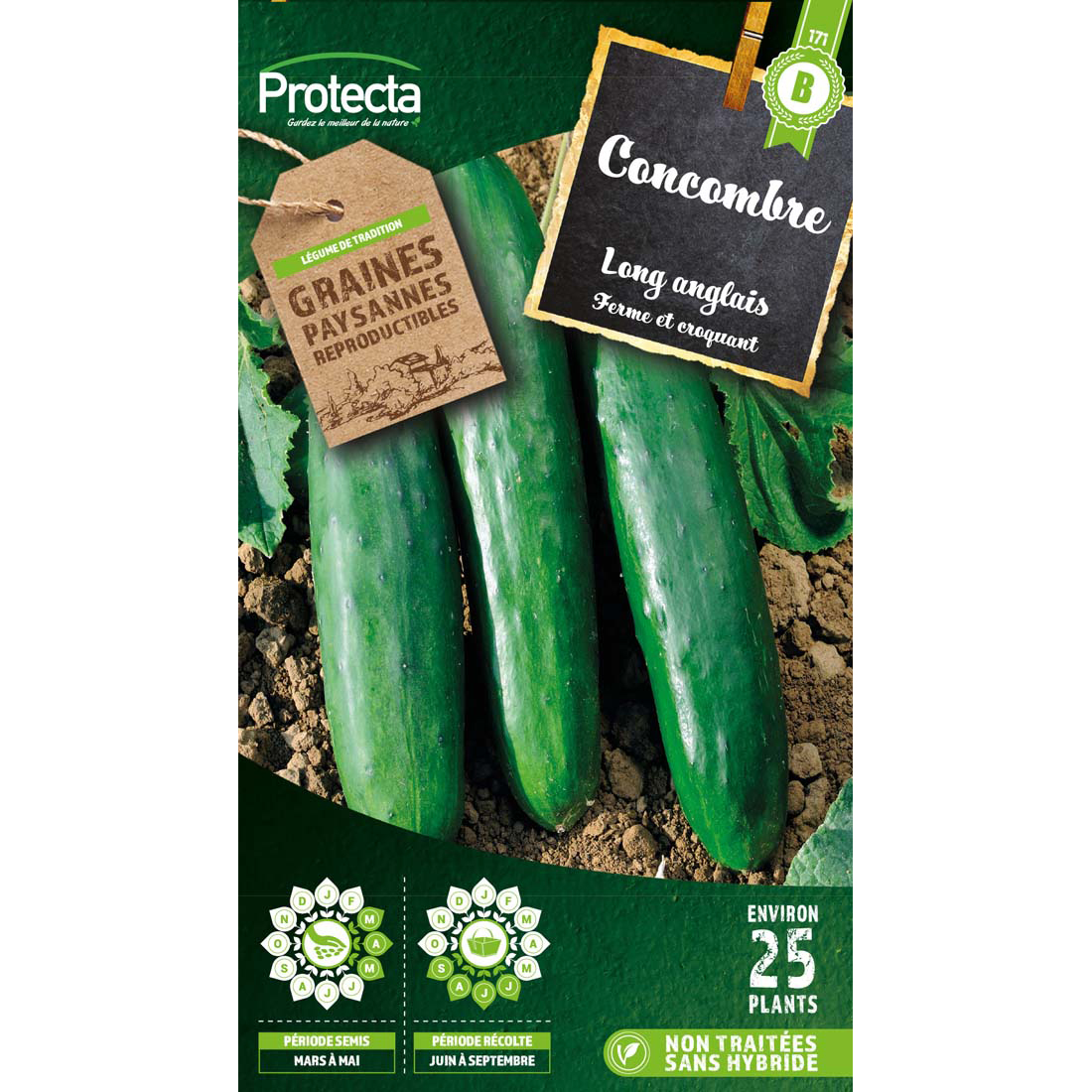 Concombre vert long Anglais sachet 3g