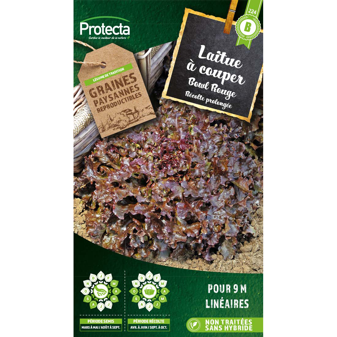 Laitue à couper Red Salad Bowl 