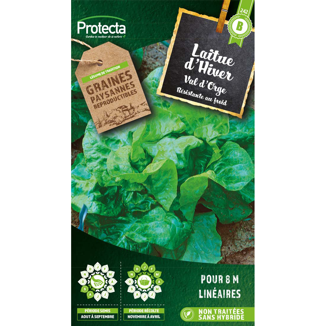 Laitue d'hiver Val d'Orge
