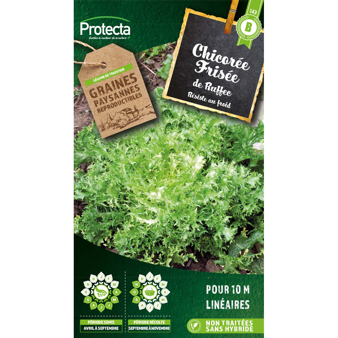 Chicorée Frisée de Ruffec sachet 5 g