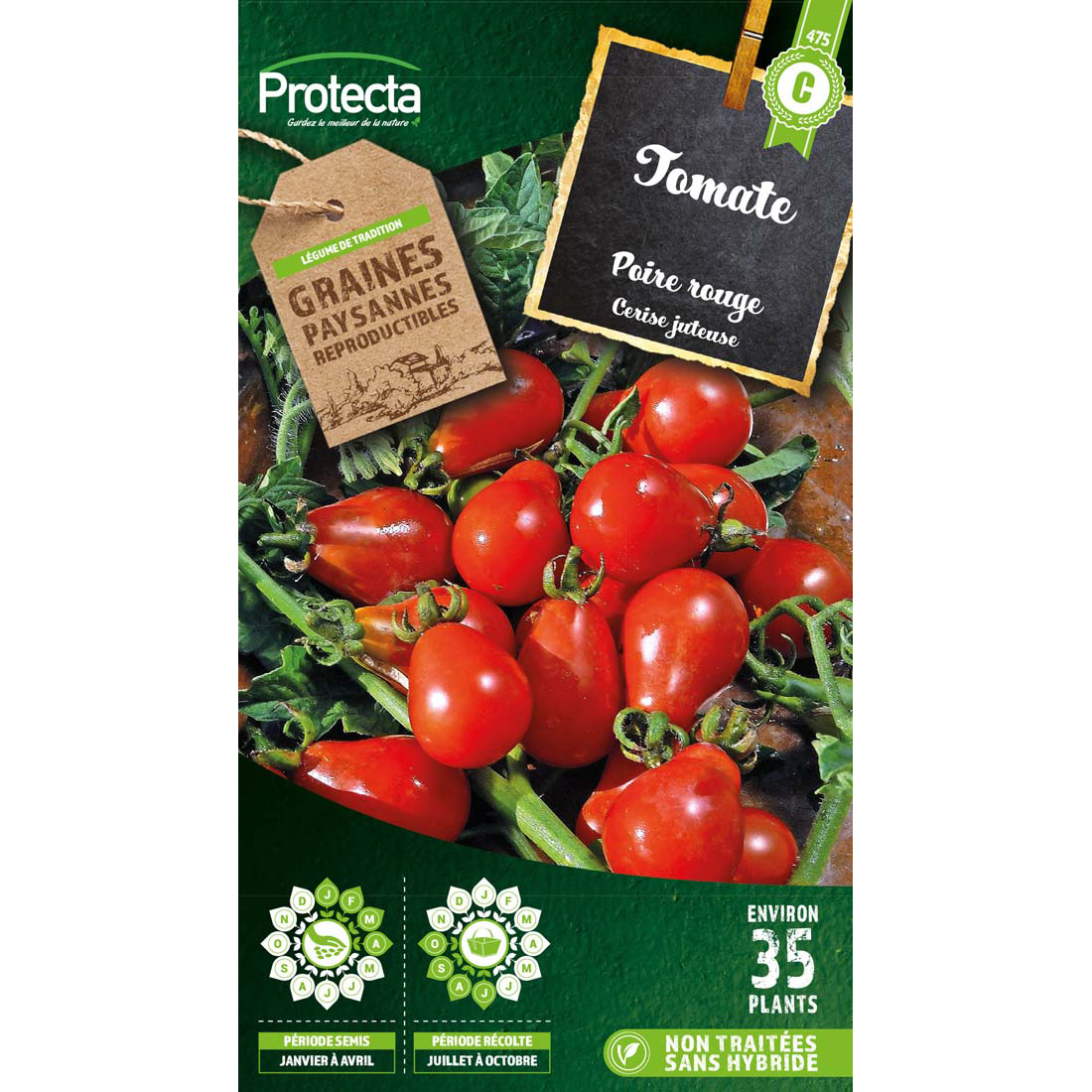 TOMATE POIRE ROUGE RED PEARSHAPED