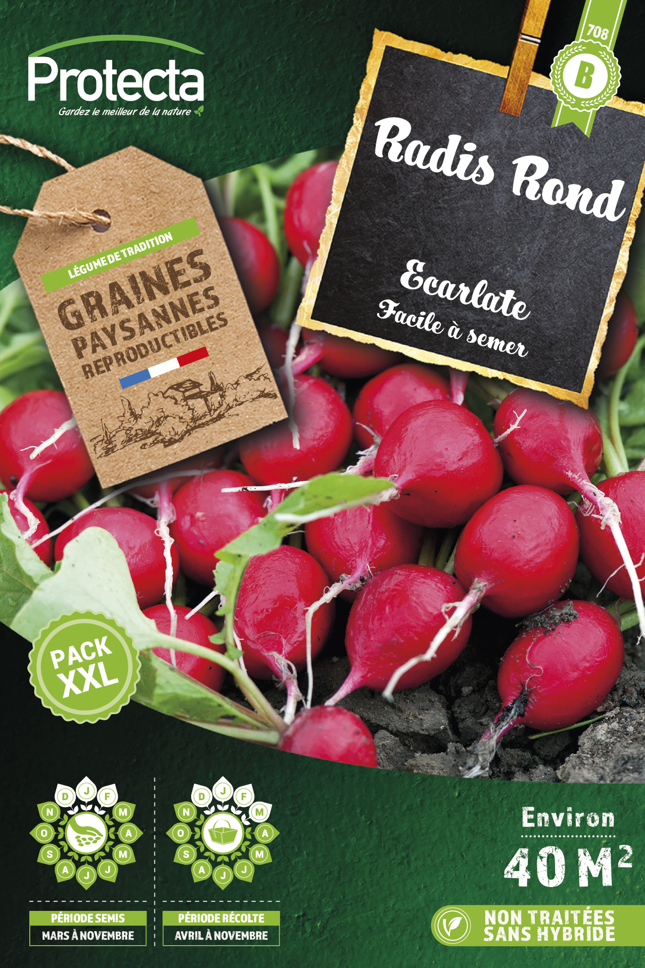 Radis Rond Écarlate Xxl-20g