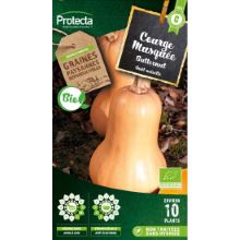 COURGE MUSQUÉE BUTTERNUT BIO