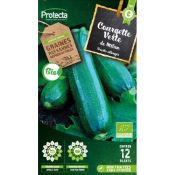 COURGETTE VERTE DE MILAN BIO