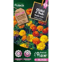 Oeillet d'Inde double nain varié sachet 1 g