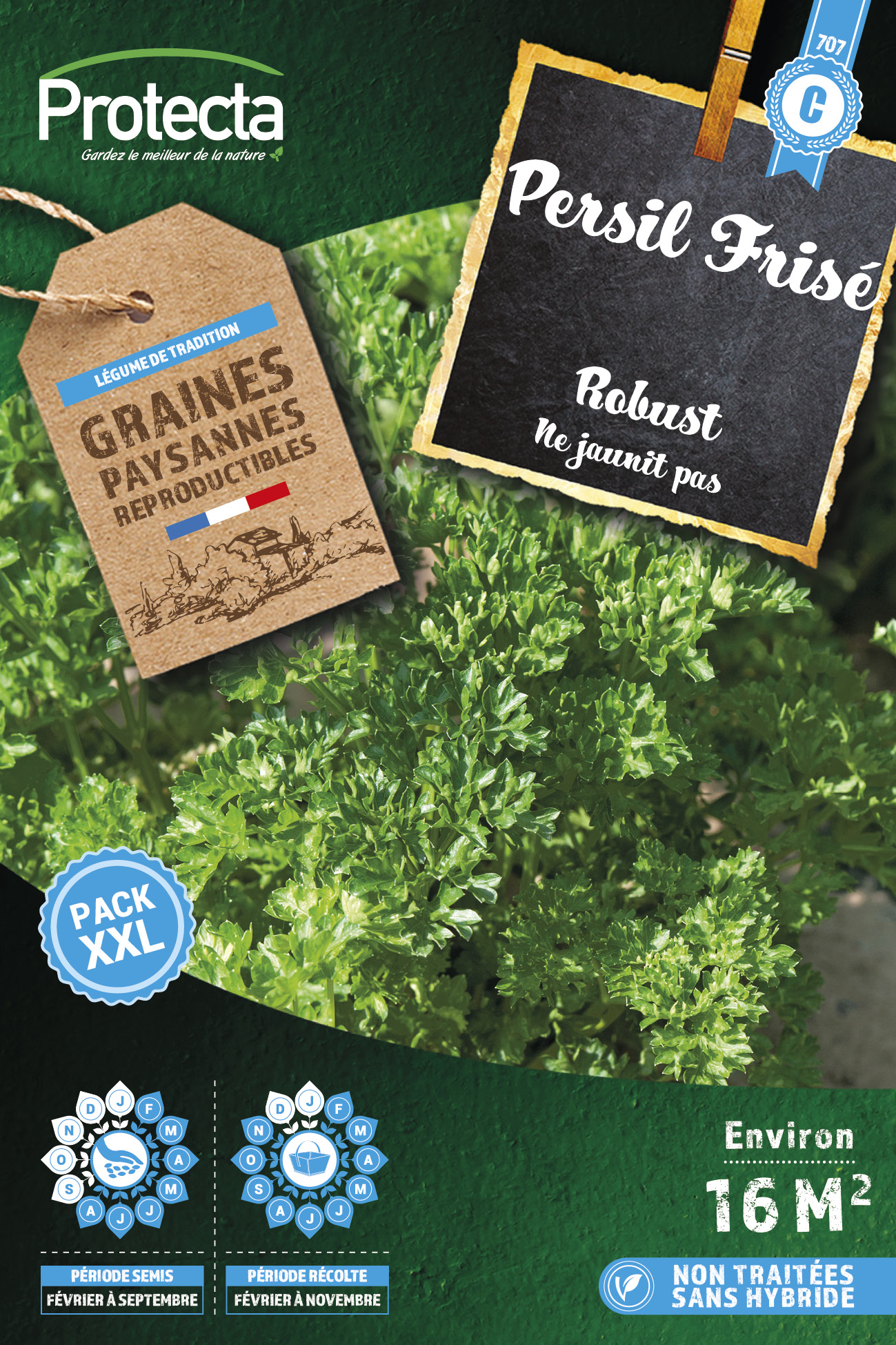 Persil frisé Robust Xxl-10g