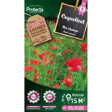 Coquelicot simple rouge