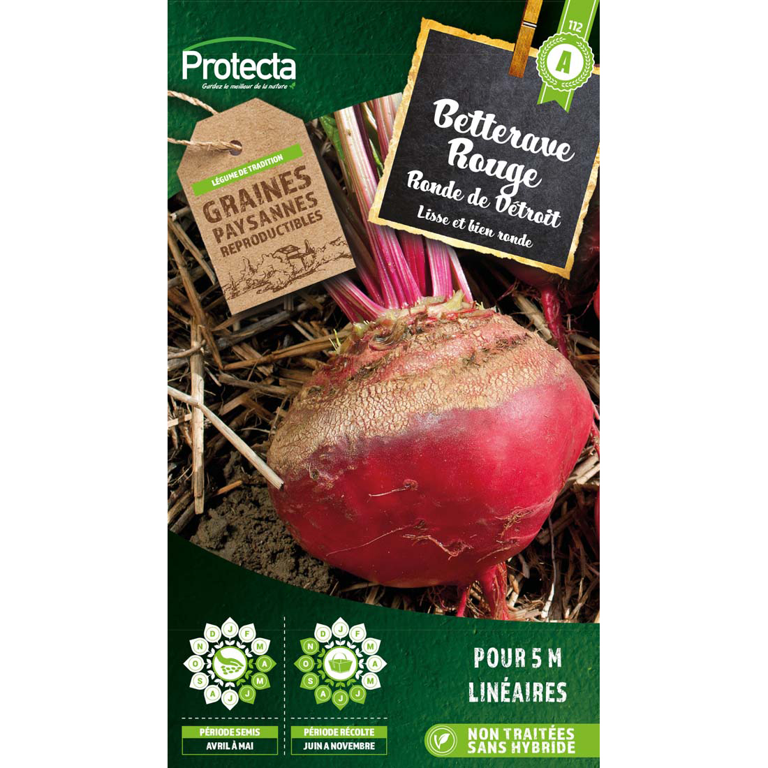 Betterave potagère rouge ronde de Détroit sachet 4 g