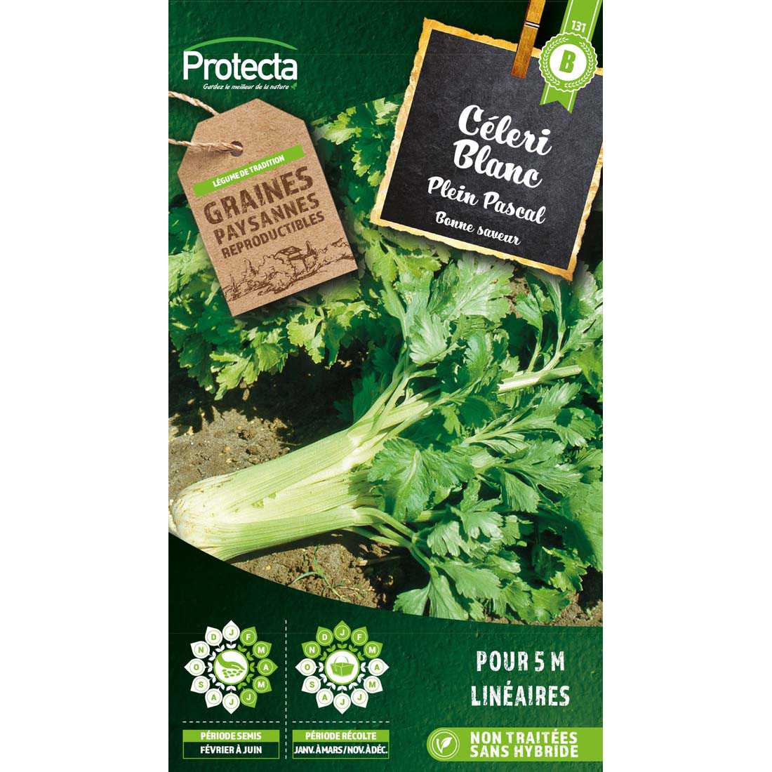 Céleri plein Blanc Pascal sachet 2 g
