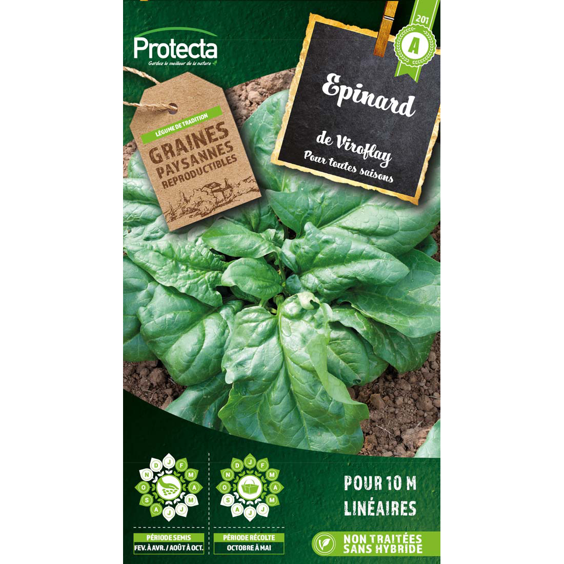 Epinard monstrueux de Viroflay