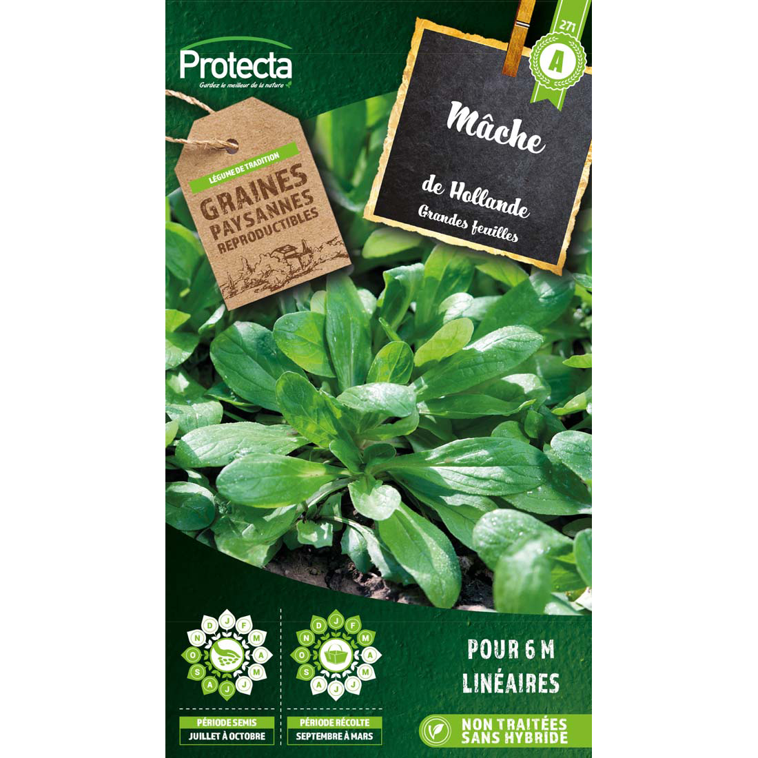 Mâche de Hollande à Grosse Graine  sachet 4 g