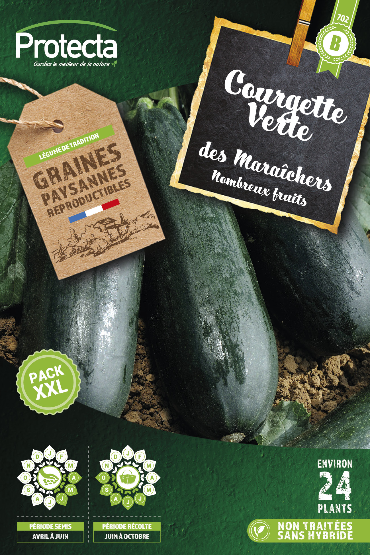 Courgette verte des maraîchers Xxl-8g