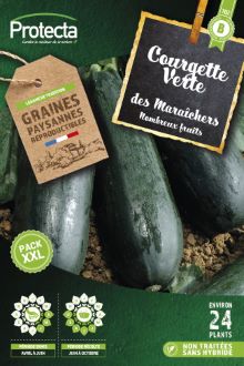 Courgette verte des maraîchers Xxl-8g