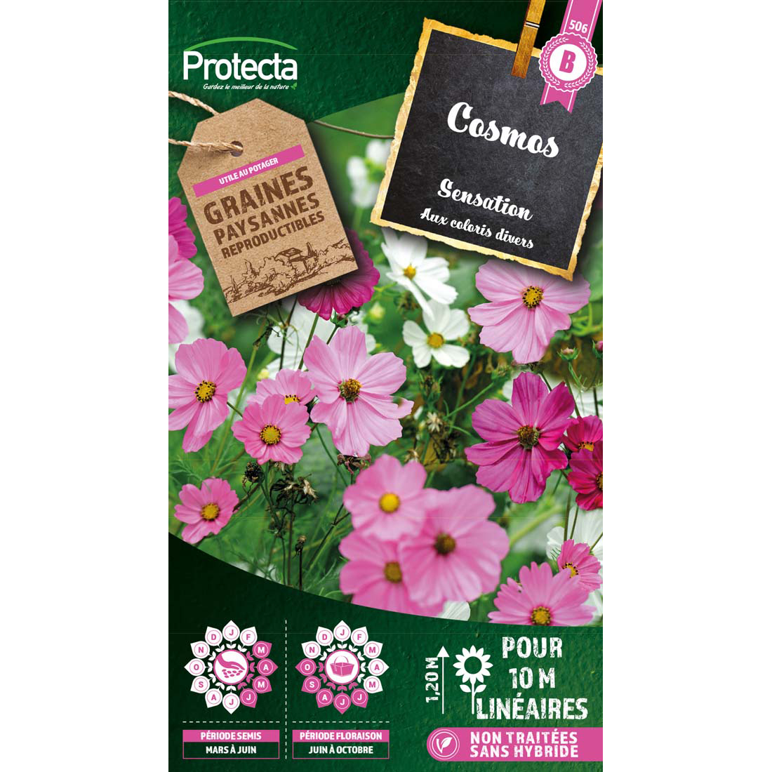 Cosmos Sensation précoce varié sachet 2g