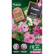Cosmos sensation varié