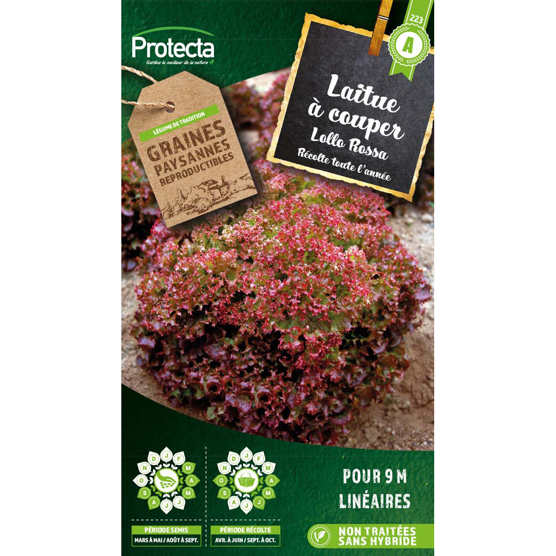 Laitue à couper frisée Lollo Rossa sachet 4g