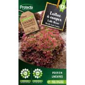 LAITUE À COUPER FRISÉE LOLLO ROSSA