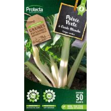 POIRÉE VERTE À CARDE BLANCHE 3