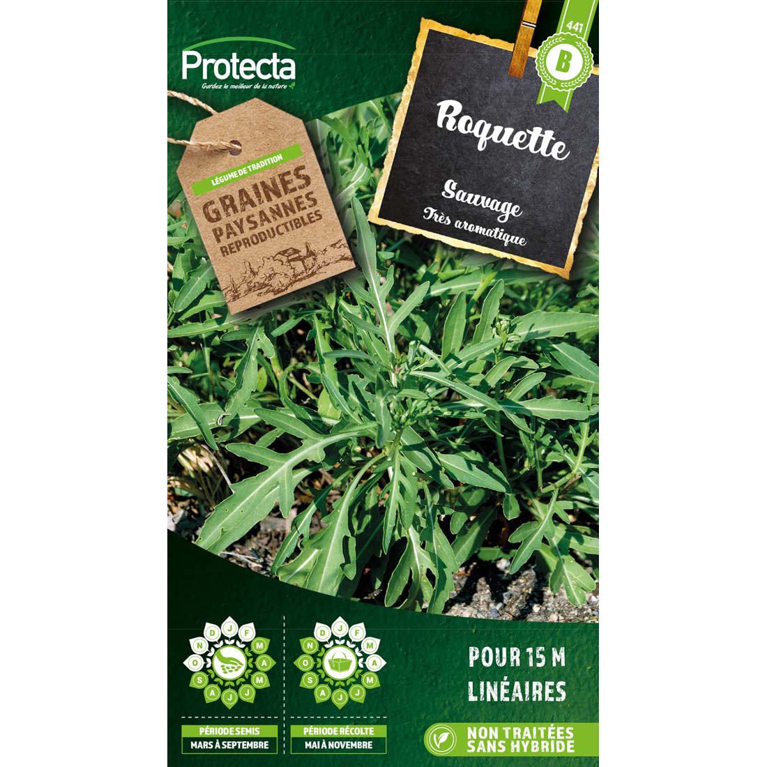 ROQUETTE SAUVAGE