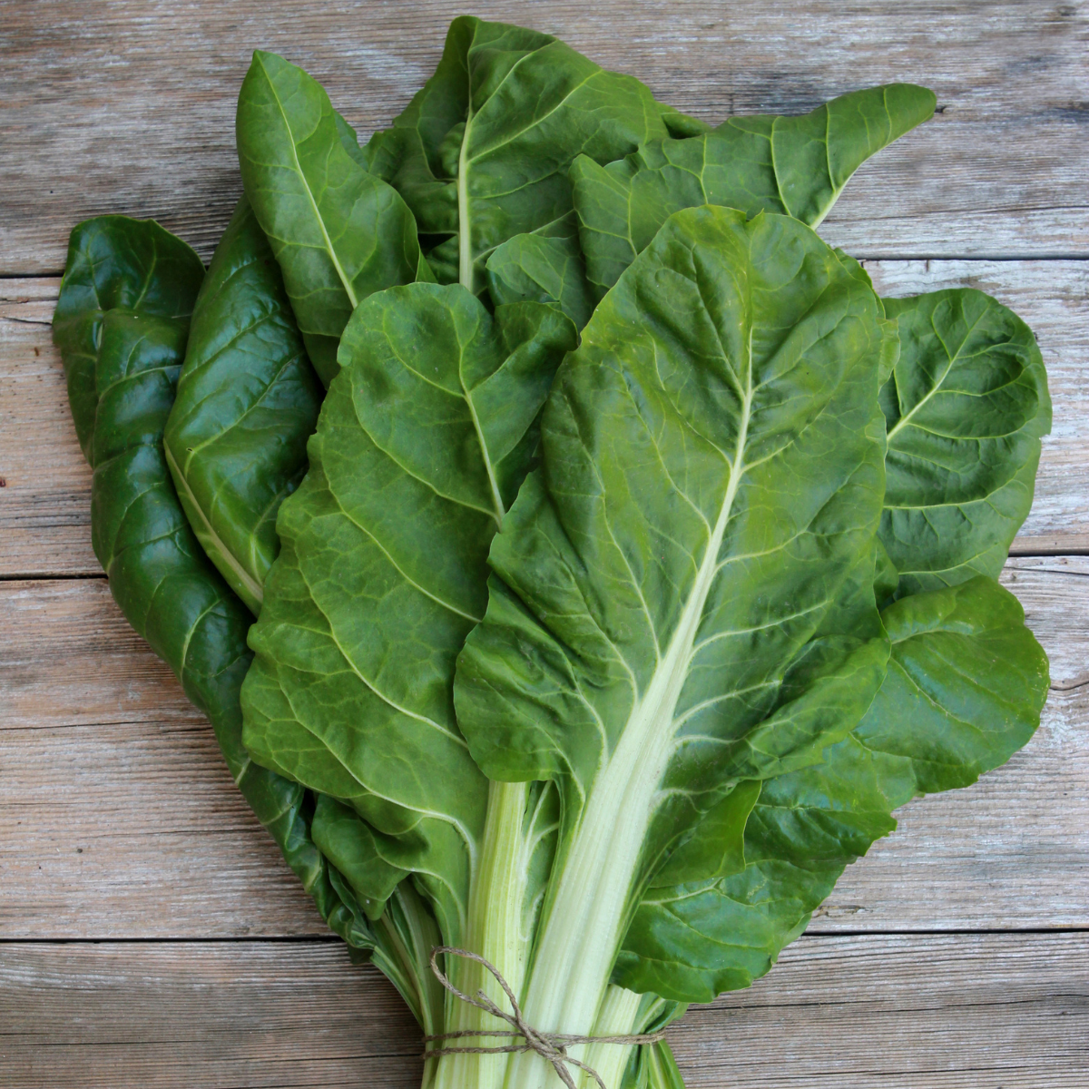 Poirée verte à couper Paquet 100 g