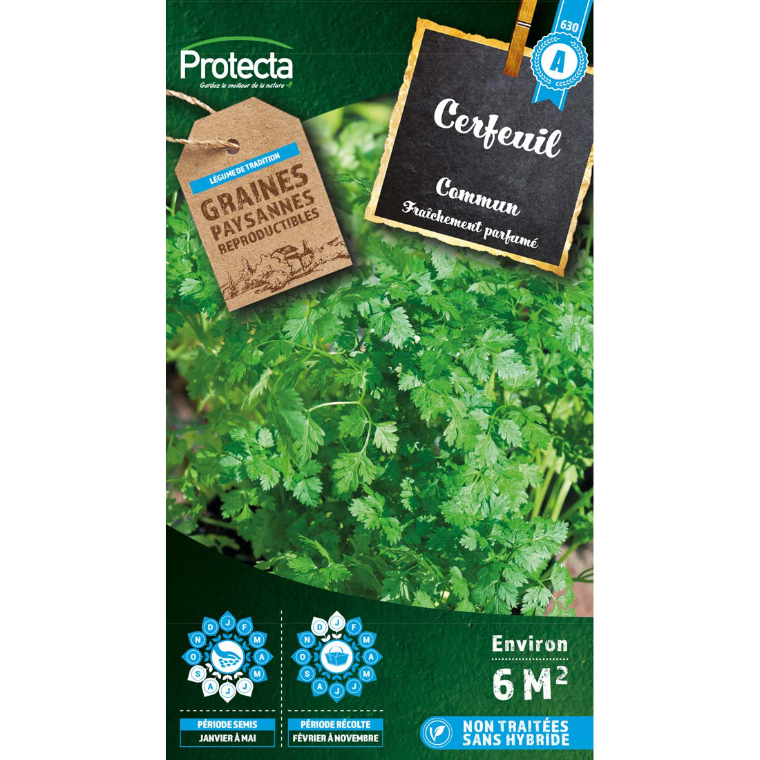 Cerfeuil commun sachet 5 g